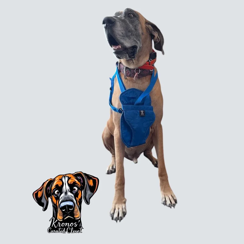 Pet Carrier Backpack Blue Front Carry Small Dog Cat Hands Free EUC Travel